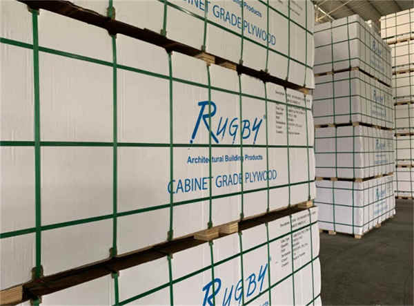 حار مبيعات البلاستيك الشفاف PP التعبئة والتغليف الشريط Hot Sales Plastic Clear PP Packaging Strap